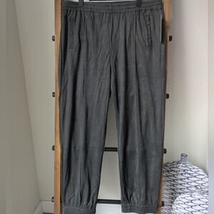 NWT Trctr Women's Dark Gray Suede Pants - Size 14